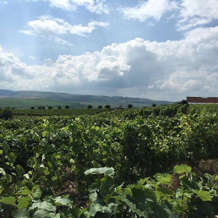 Wineyards Salin Bed & Breakfast Turda Exterior photo