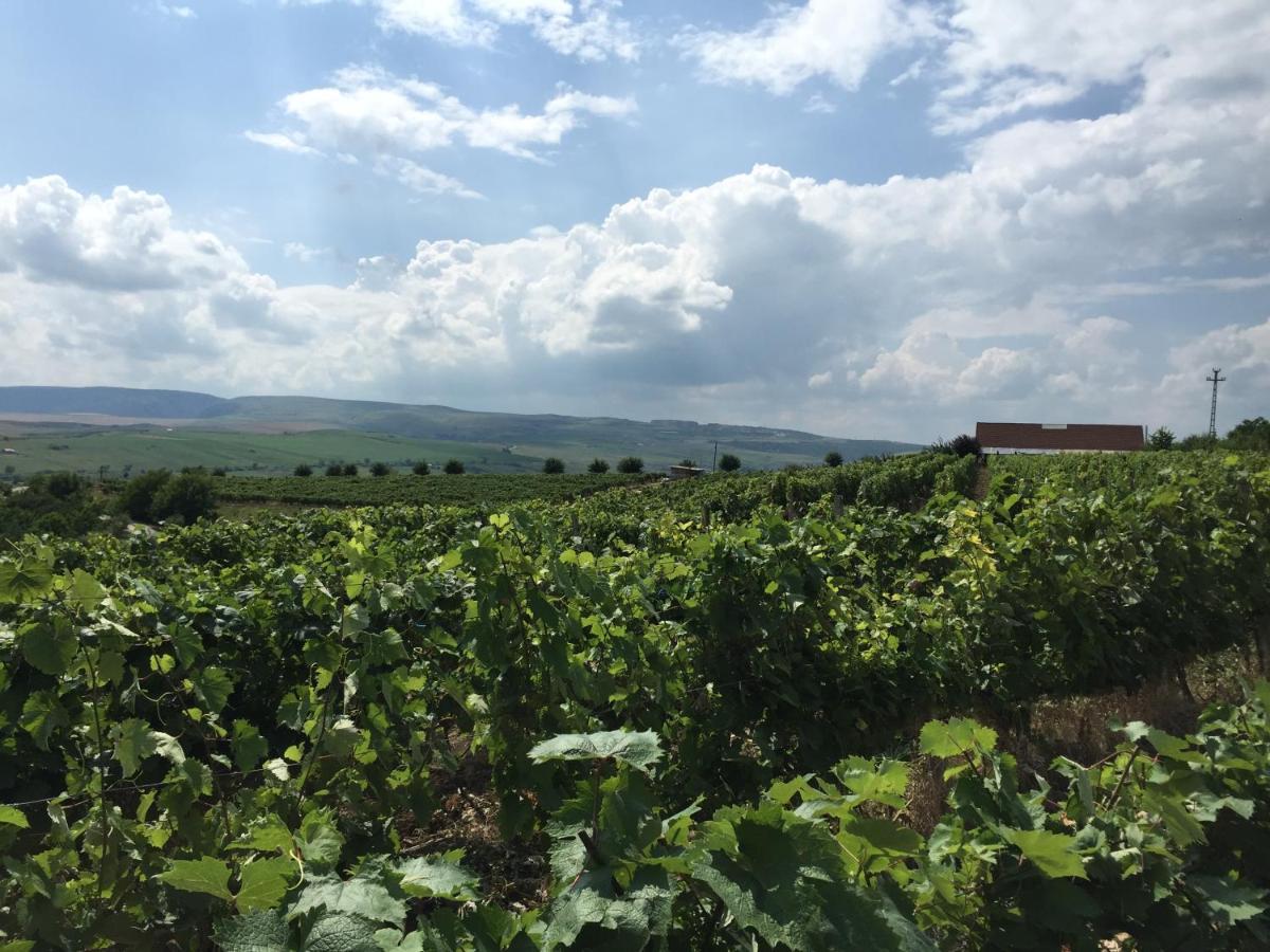 Wineyards Salin Bed & Breakfast Turda Exterior photo