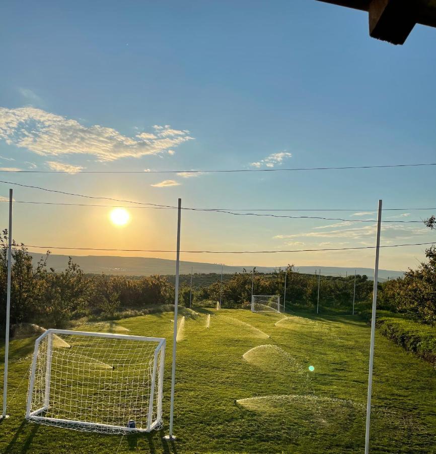 Wineyards Salin Bed & Breakfast Turda Exterior photo