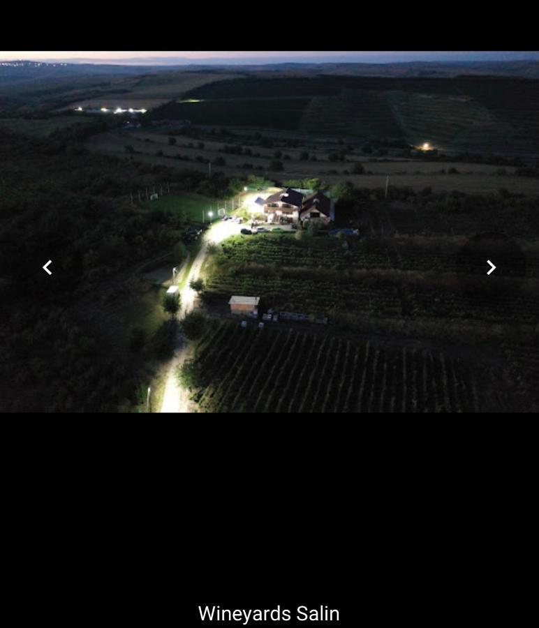 Wineyards Salin Bed & Breakfast Turda Exterior photo