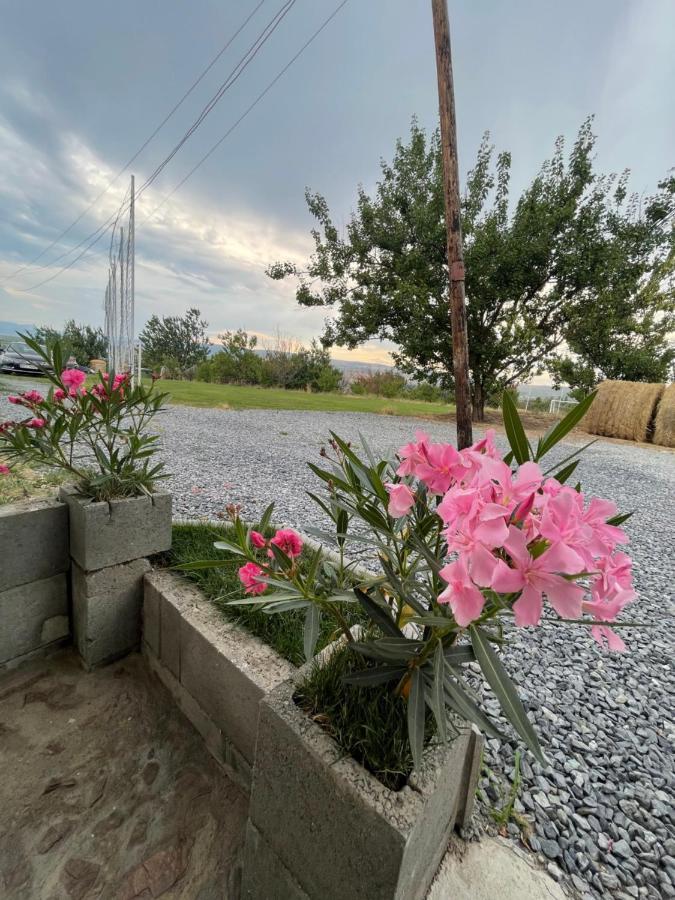 Wineyards Salin Bed & Breakfast Turda Exterior photo