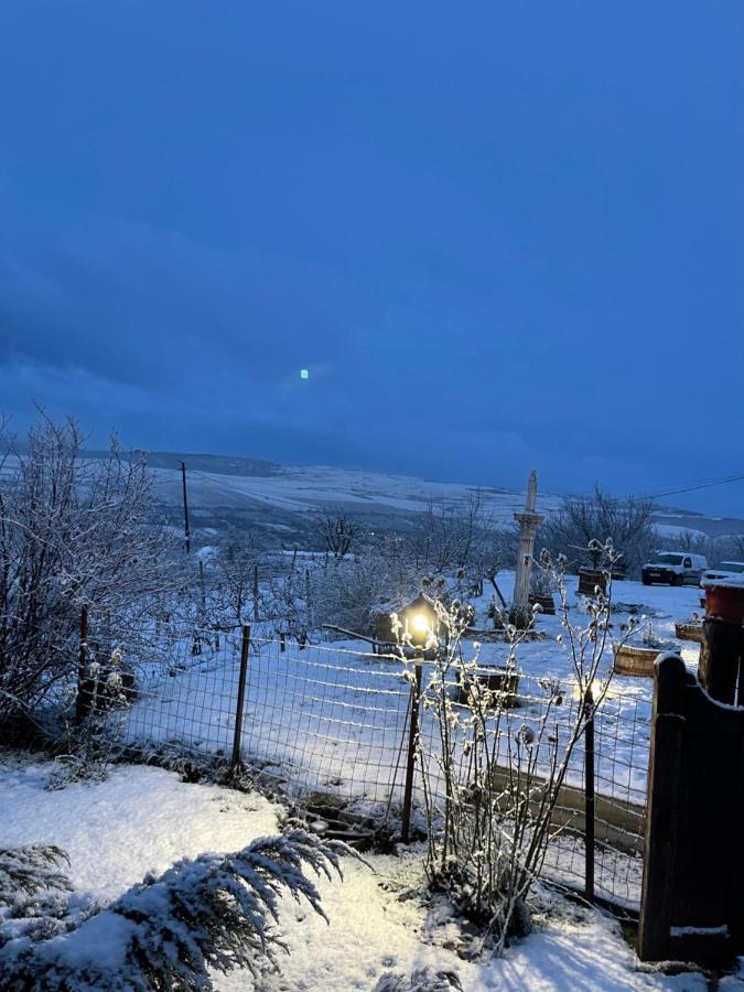 Wineyards Salin Bed & Breakfast Turda Exterior photo