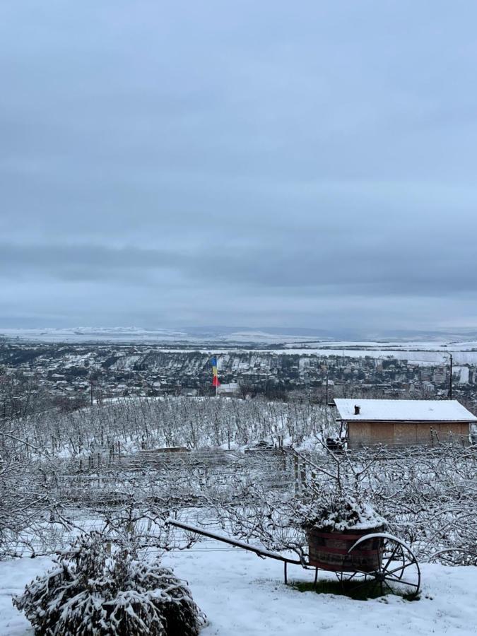 Wineyards Salin Bed & Breakfast Turda Exterior photo