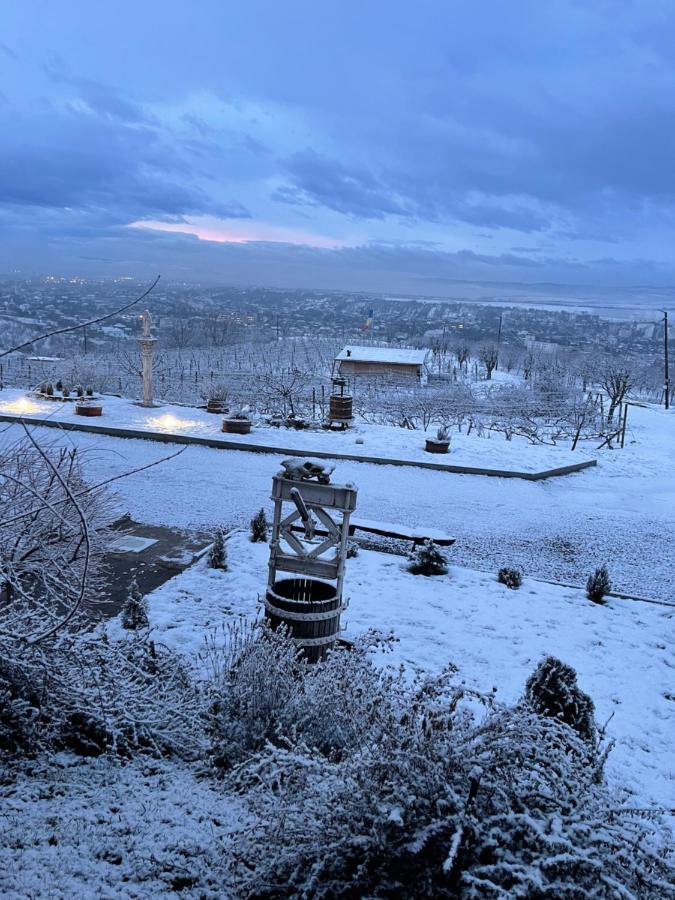 Wineyards Salin Bed & Breakfast Turda Exterior photo