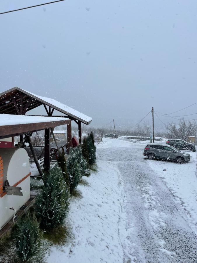 Wineyards Salin Bed & Breakfast Turda Exterior photo