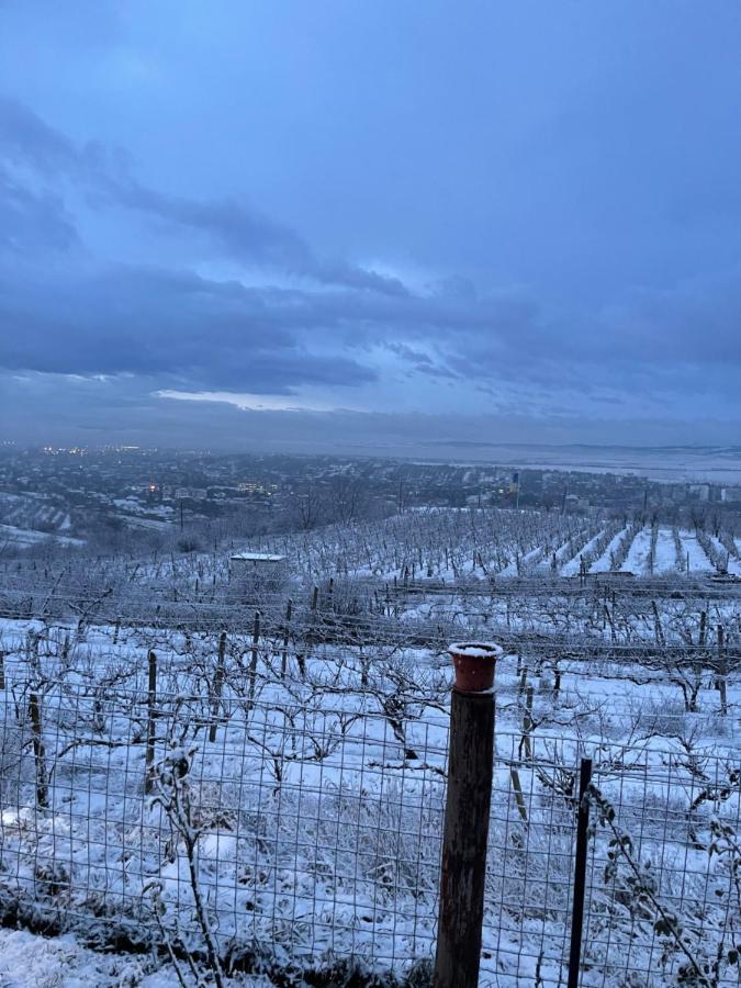 Wineyards Salin Bed & Breakfast Turda Exterior photo