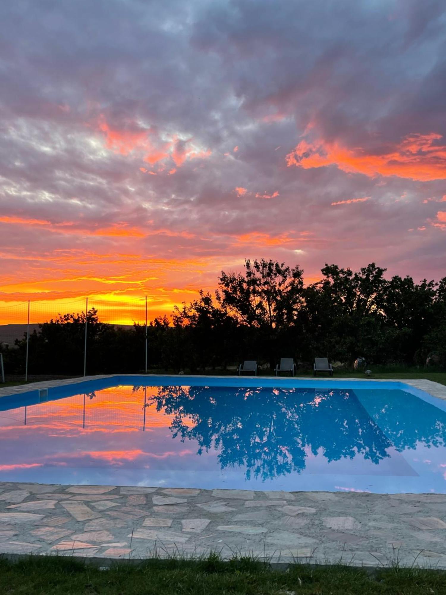 Wineyards Salin Bed & Breakfast Turda Exterior photo